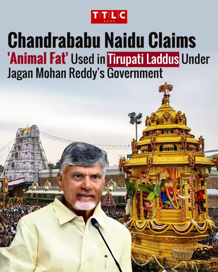 Chandrababu Naidu Accuses Jagan Govt of Using 'Animal Fat' in Sacred Tirupati Laddus